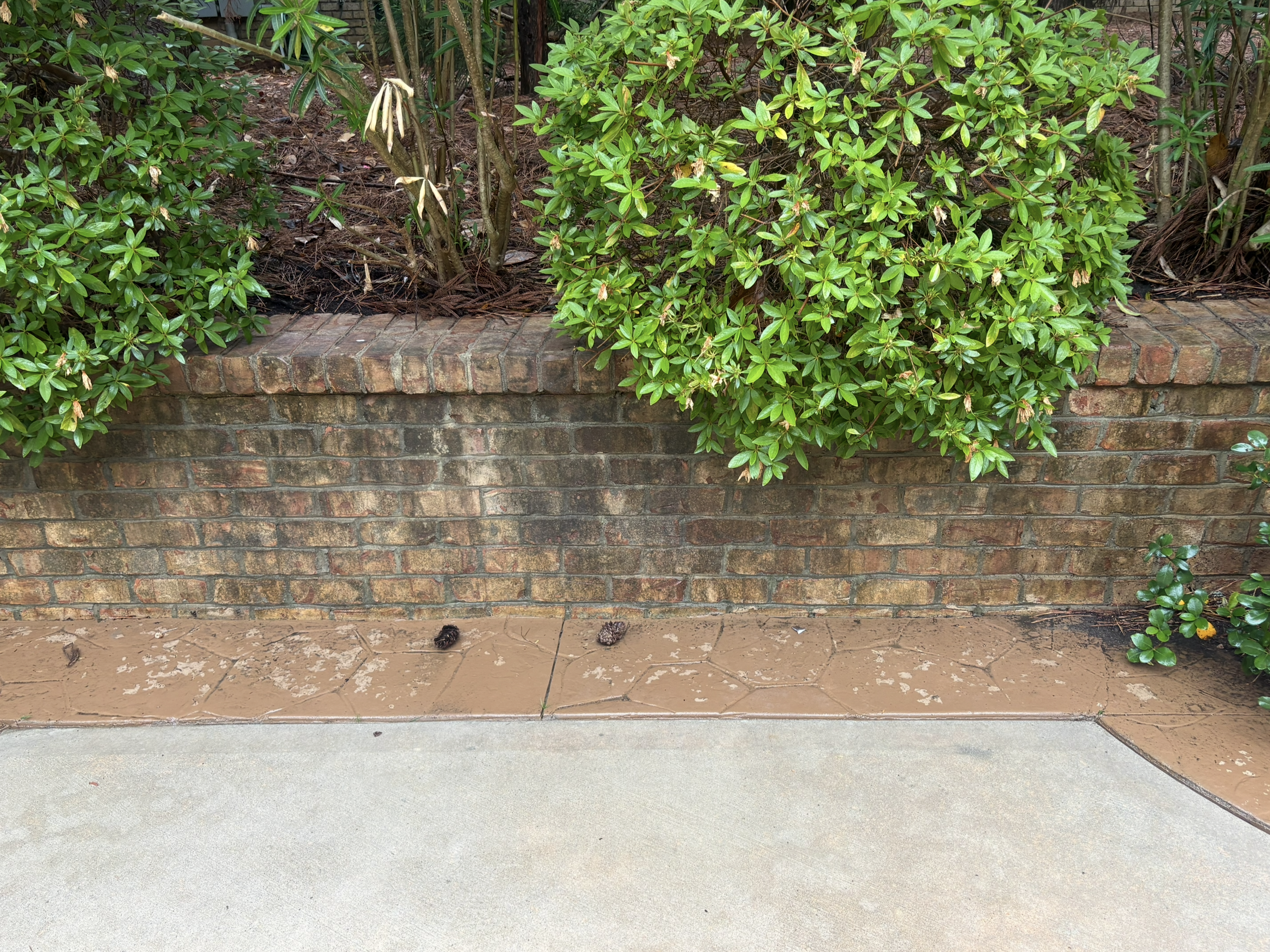 Brick wall and walkway with staining before cleaning